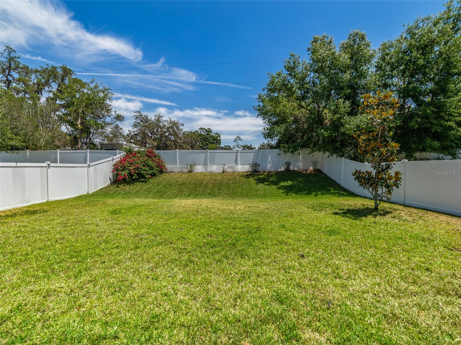 1220 Florablu Drive Seffner FL 33584 TB8516785 image44