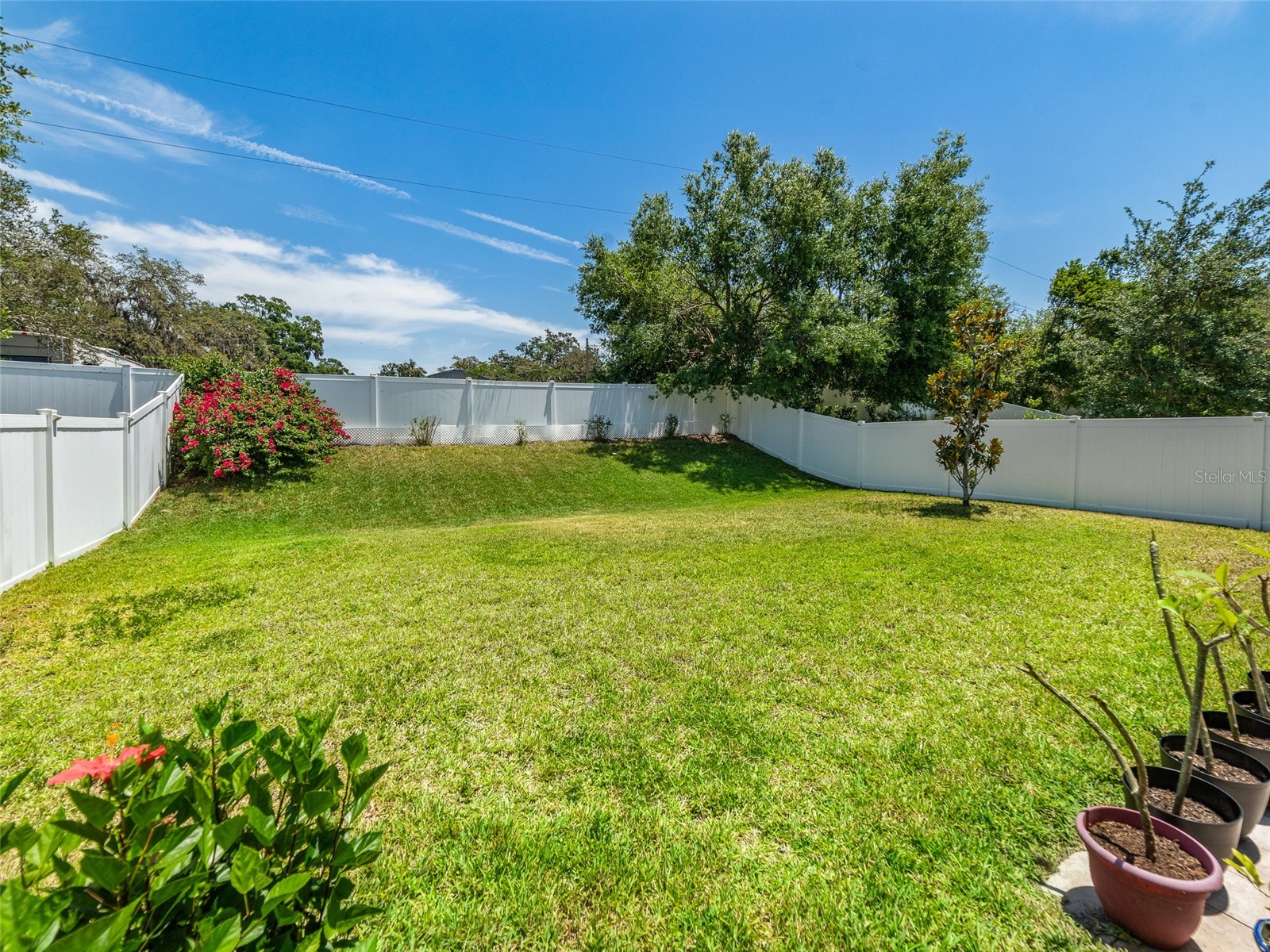 1220 Florablu Drive Seffner FL 33584 TB8516785 image45