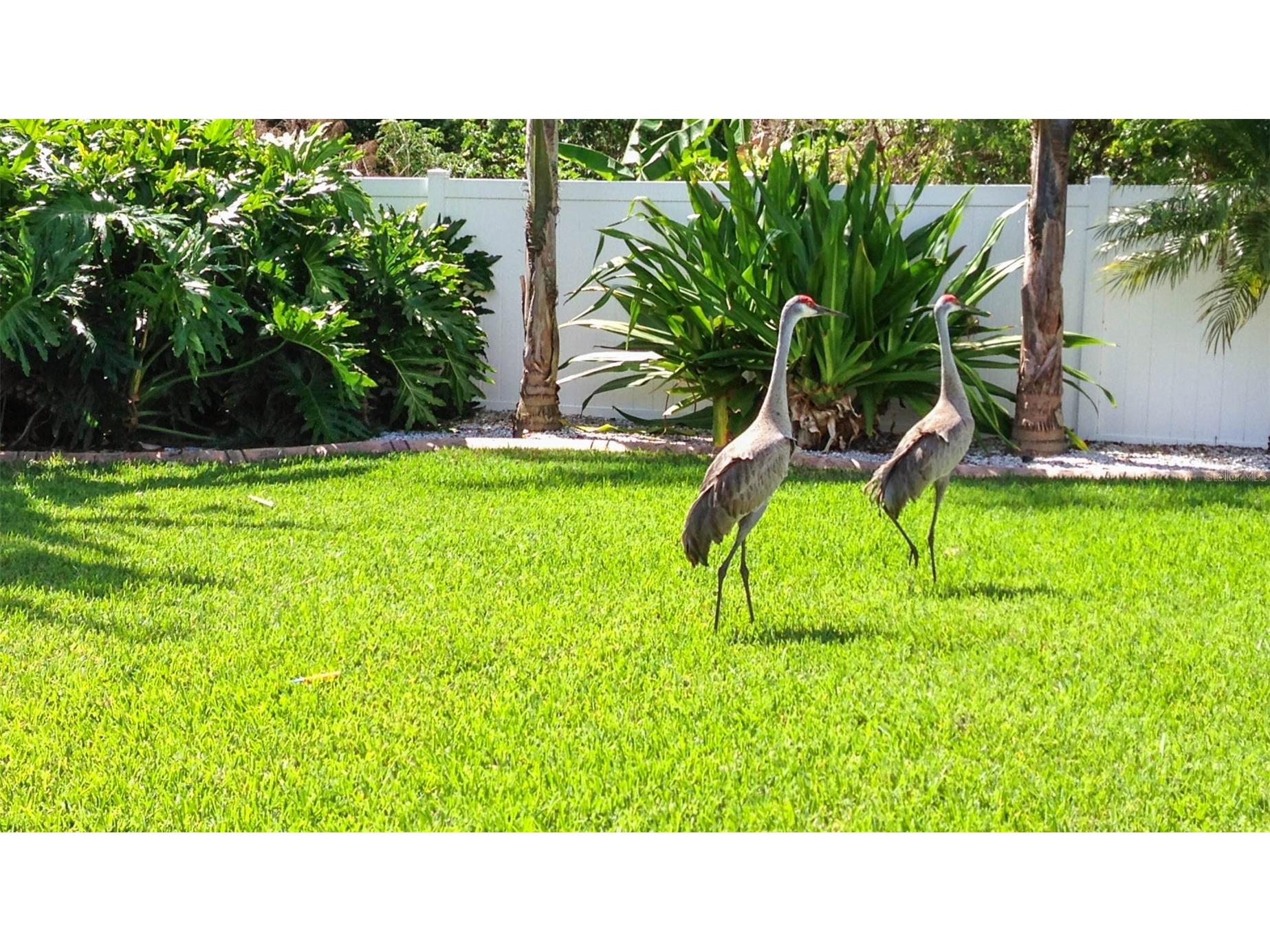 1220 Lake Highview Lane Brandon FL 33510 TB8489511 image36