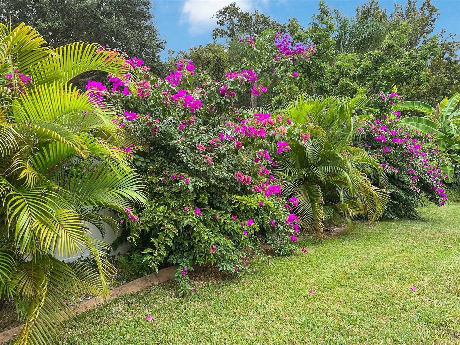 1220 Lake Highview Lane Brandon FL 33510 TB8489511 image38