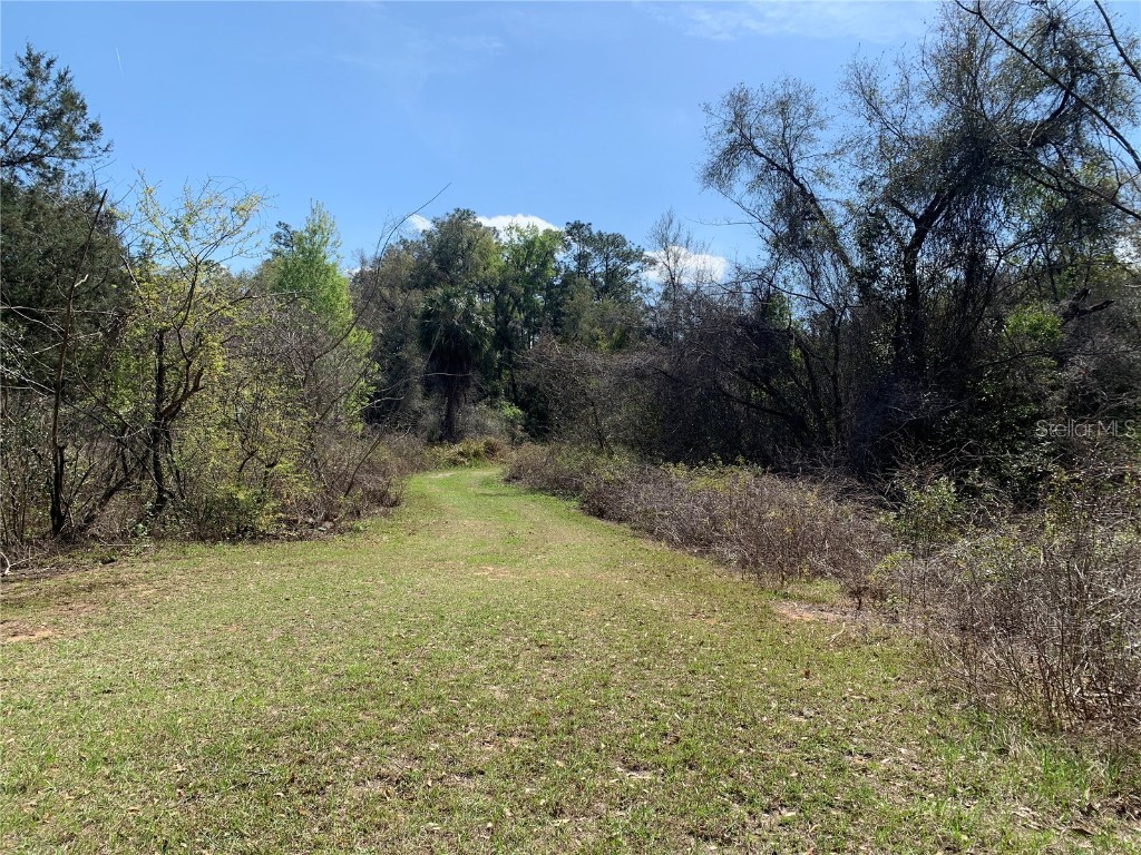 1220 N Paul Drive Inverness FL 34453 G5092895 image1