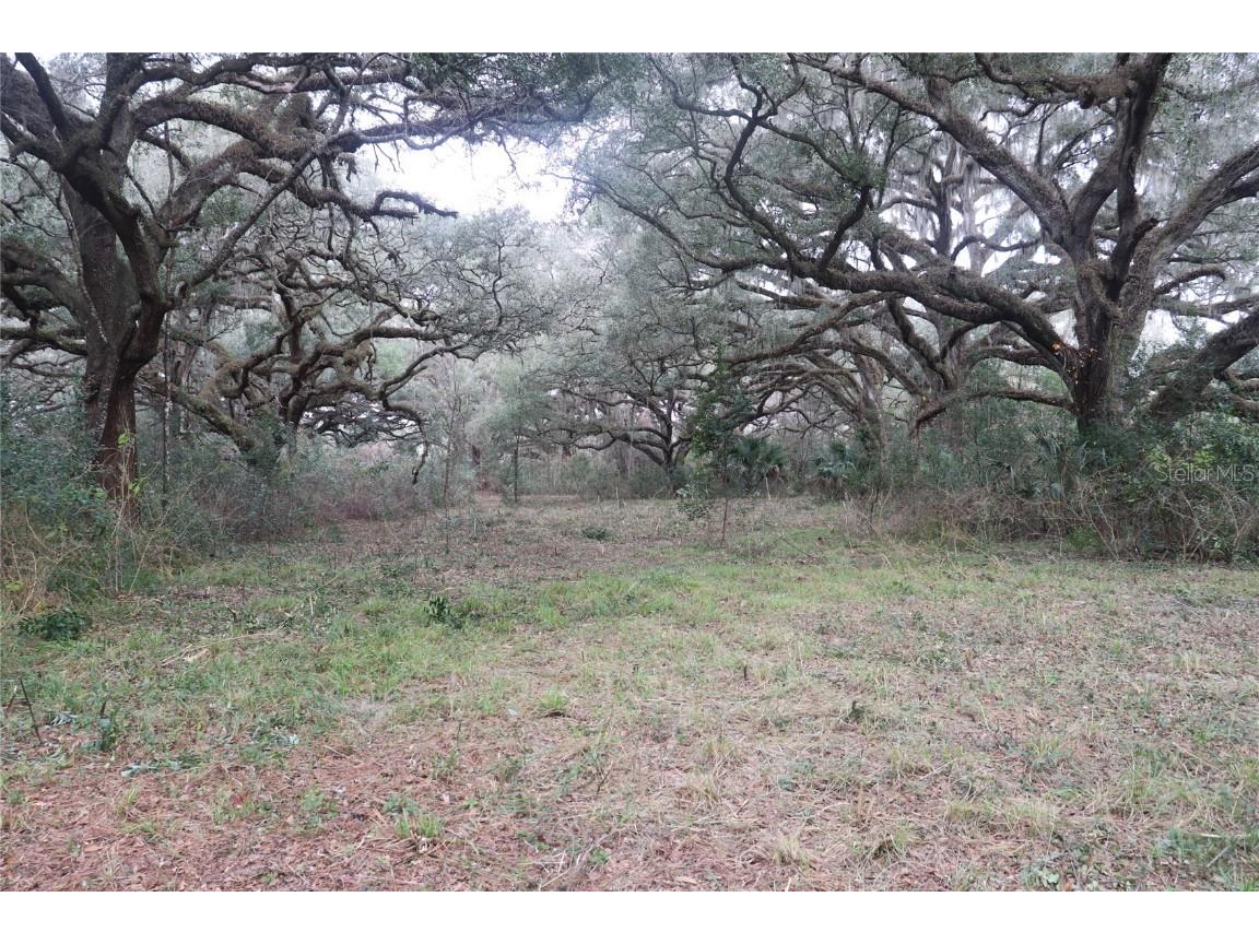 1220 N Us Highway 41 Dunnellon FL 34432 OM614380 image1