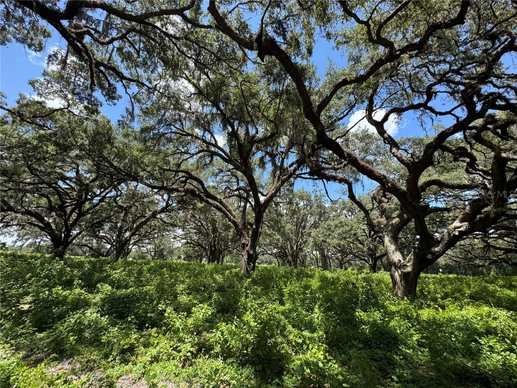 1220 N Us Highway 41 Dunnellon FL 34432 GC533103 image11