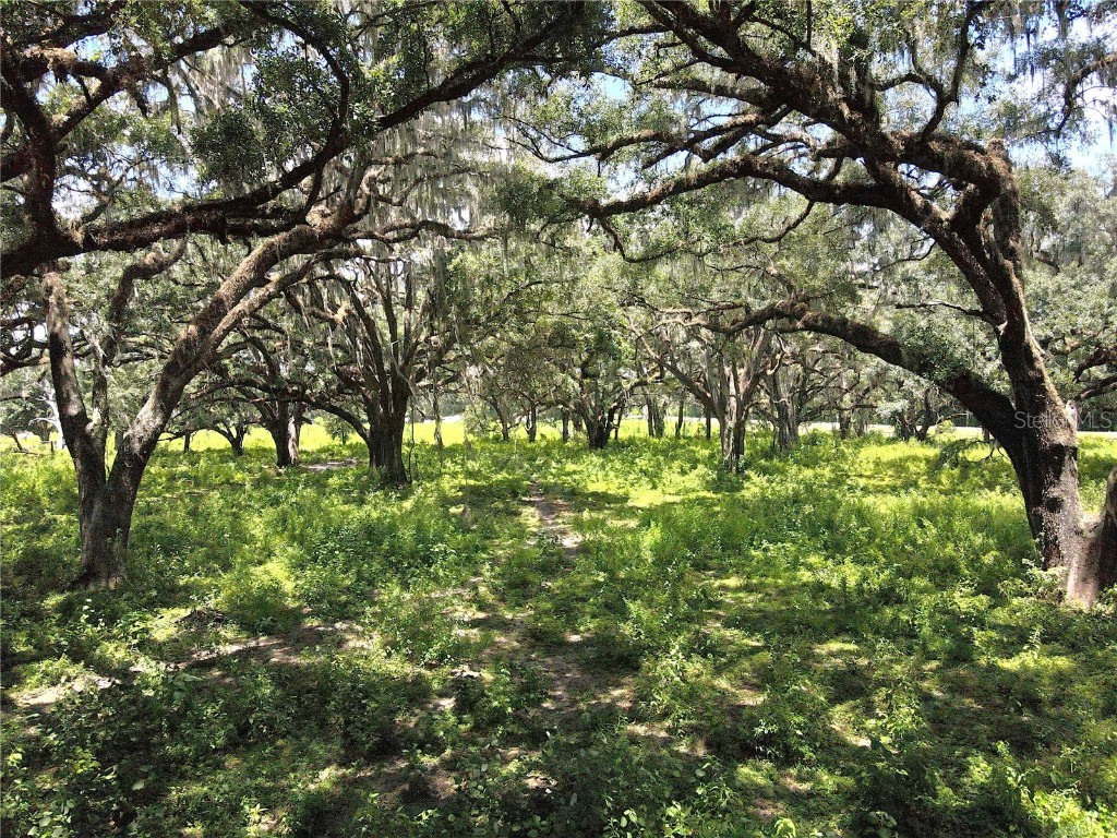 1220 N Us Highway 41 Dunnellon FL 34432 GC533103 image24