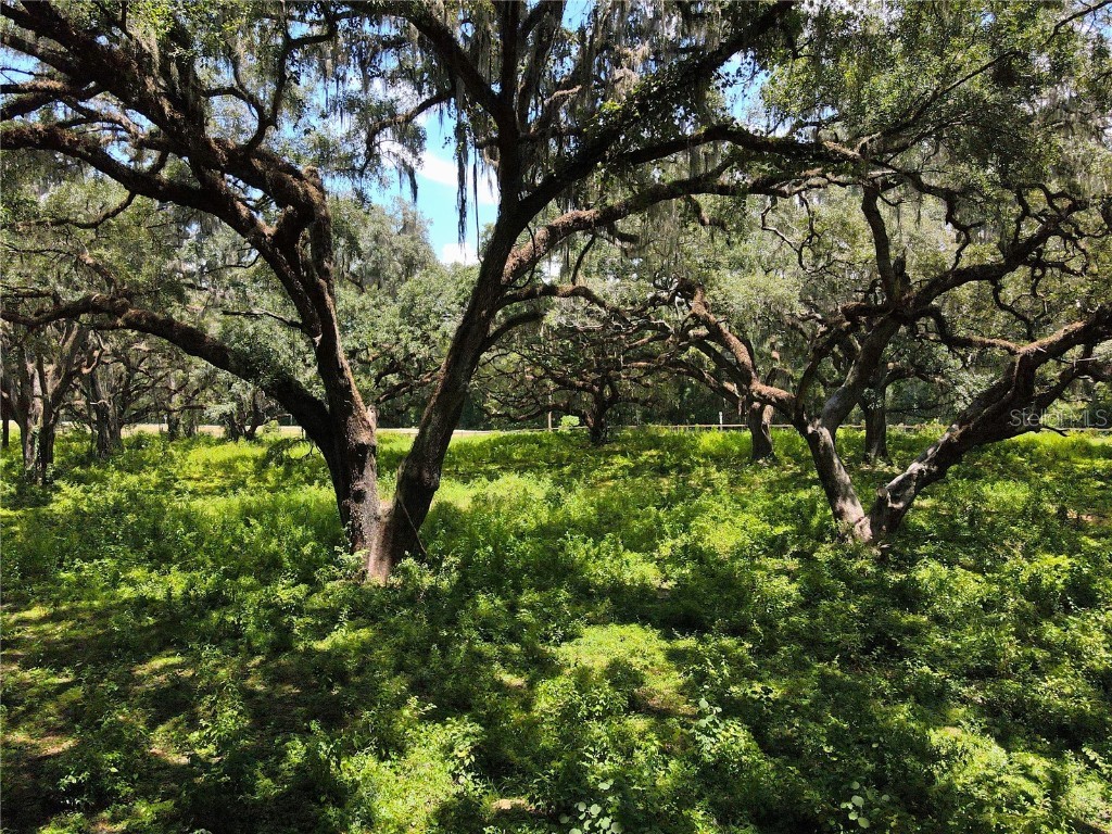 1220 N Us Highway 41 Dunnellon FL 34432 GC533103 image25