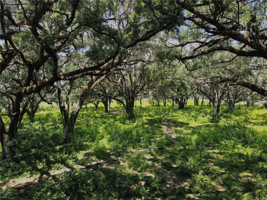 1220 N Us Highway 41 Dunnellon FL 34432 GC533103 image26