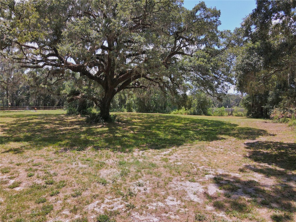 1220 N Us Highway 41 Dunnellon FL 34432 GC533103 image31