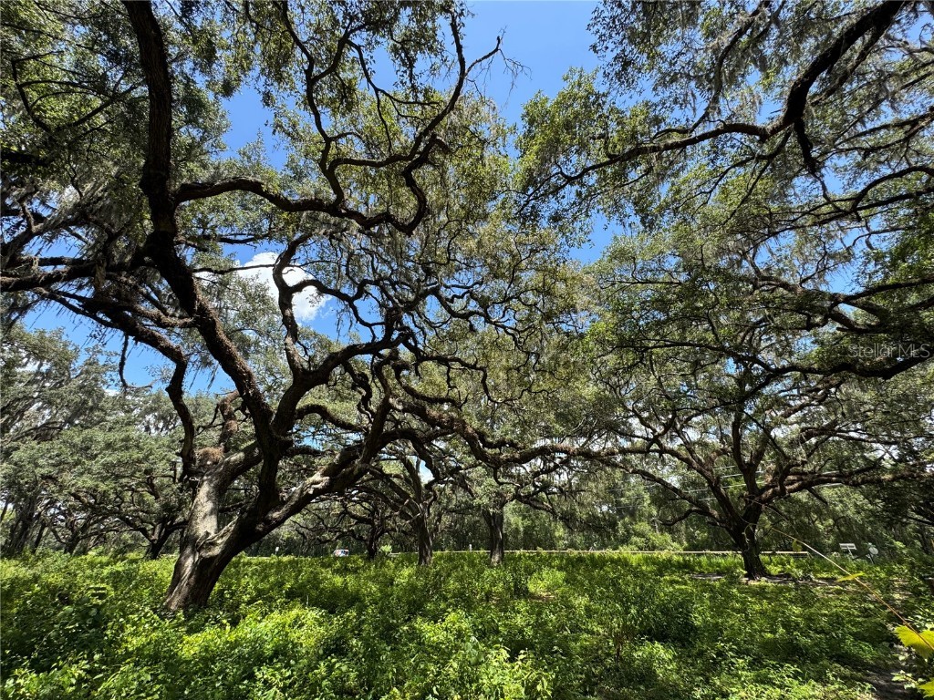 1220 N Us Highway 41 Dunnellon FL 34432 GC533103 image42