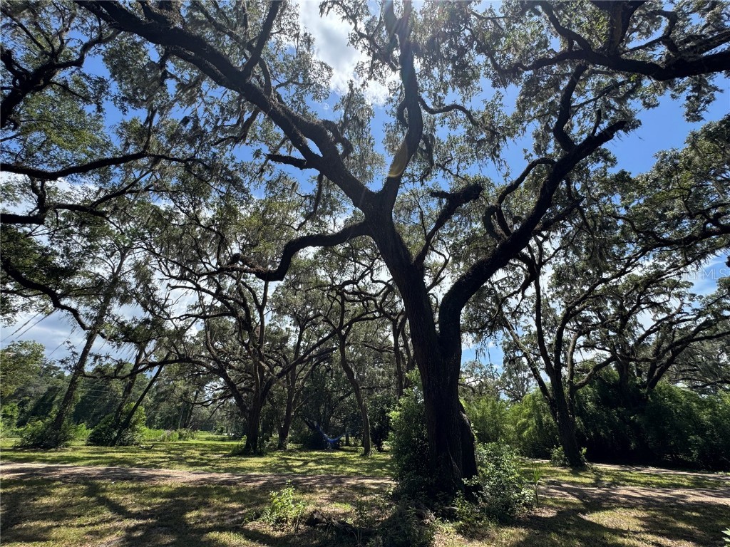 1220 N Us Highway 41 Dunnellon FL 34432 GC533103 image43