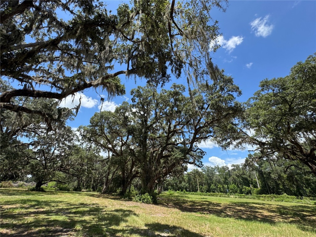 1220 N Us Highway 41 Dunnellon FL 34432 GC533103 image45