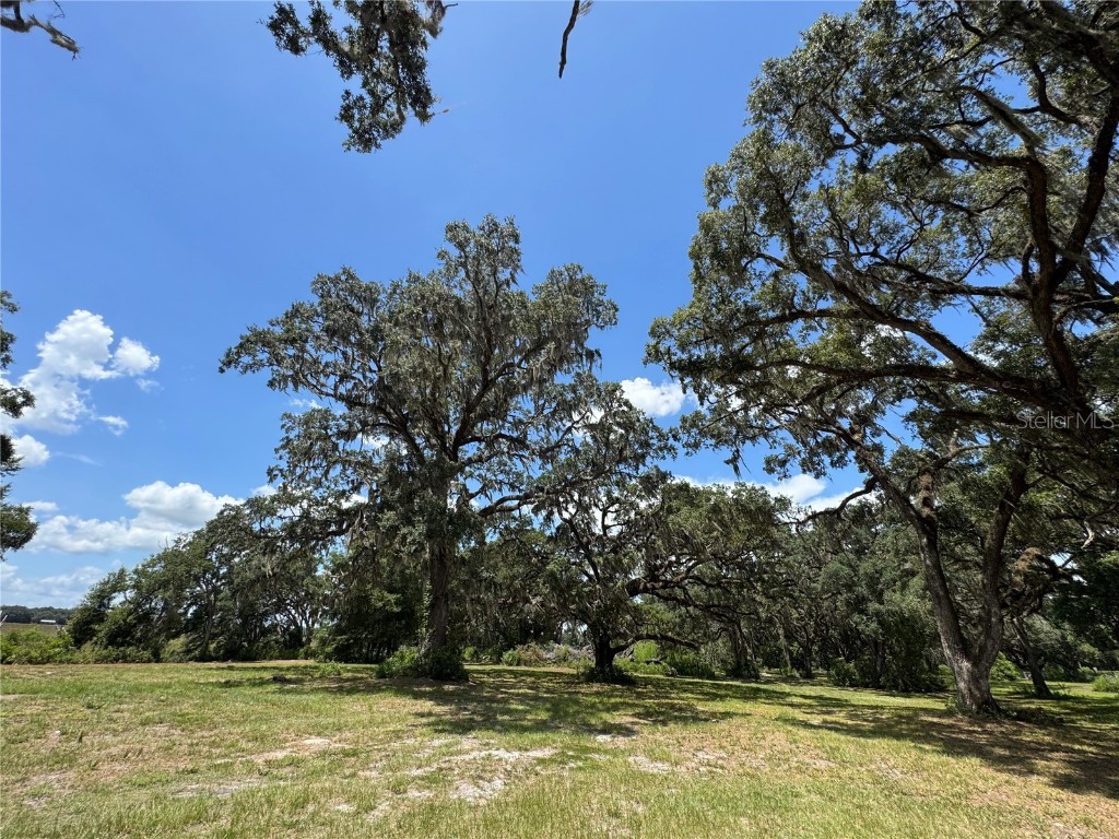 1220 N Us Highway 41 Dunnellon FL 34432 GC533103 image46