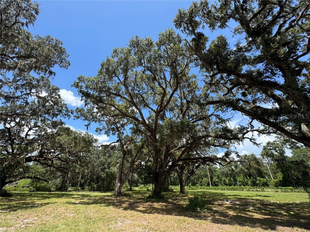 1220 N Us Highway 41 Dunnellon FL 34432 GC533103 image47