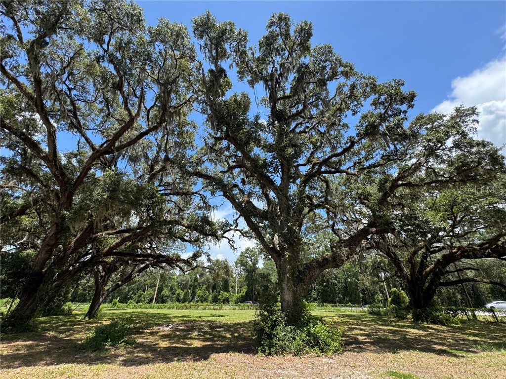 1220 N Us Highway 41 Dunnellon FL 34432 GC533103 image48