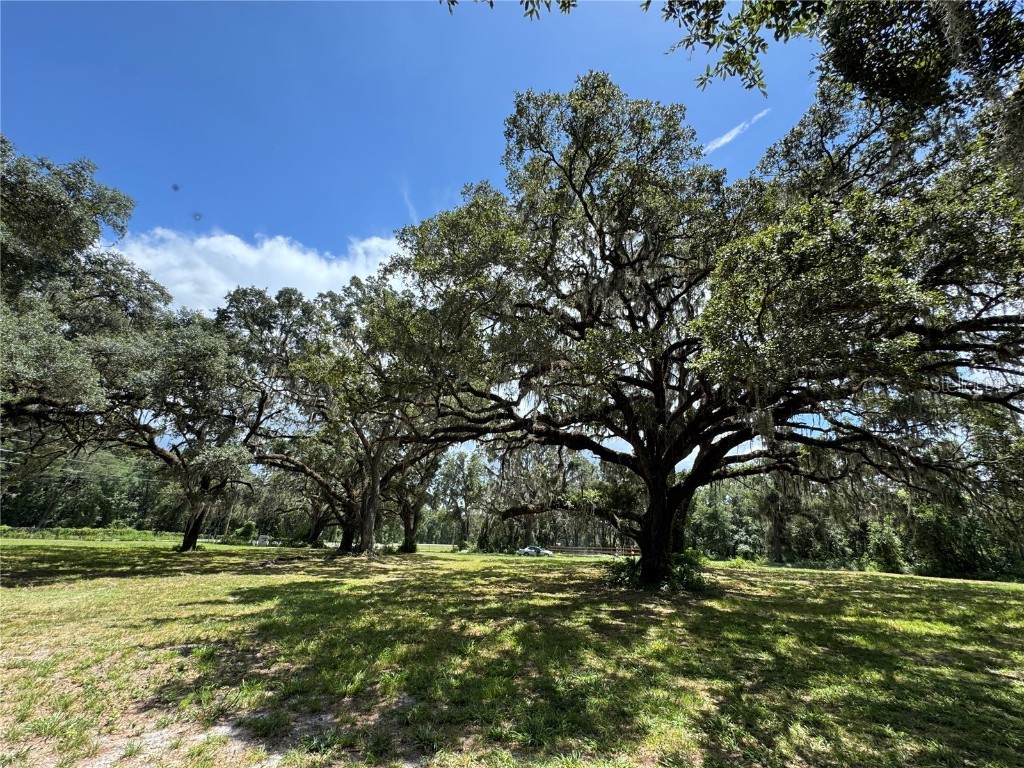 1220 N Us Highway 41 Dunnellon FL 34432 GC533103 image8