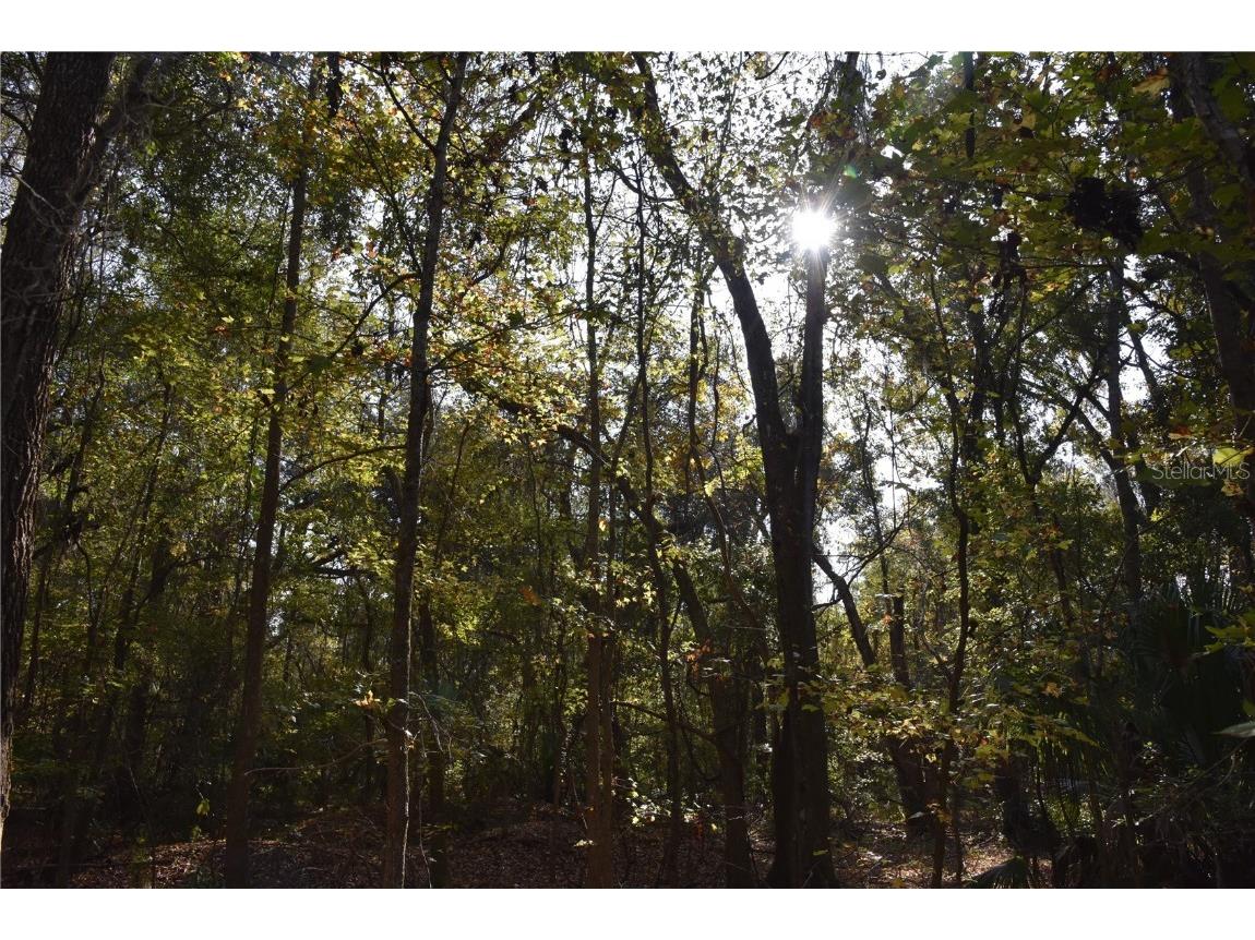 1220 SE Us Highway 301 Hawthorne FL 32640 OM714177 image11