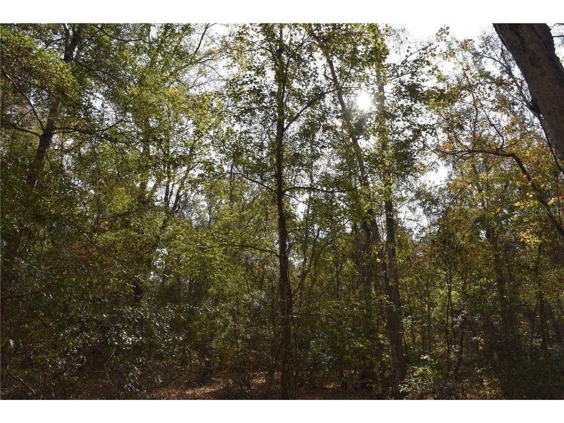 1220 SE Us Highway 301 Hawthorne FL 32640 OM714177 image12