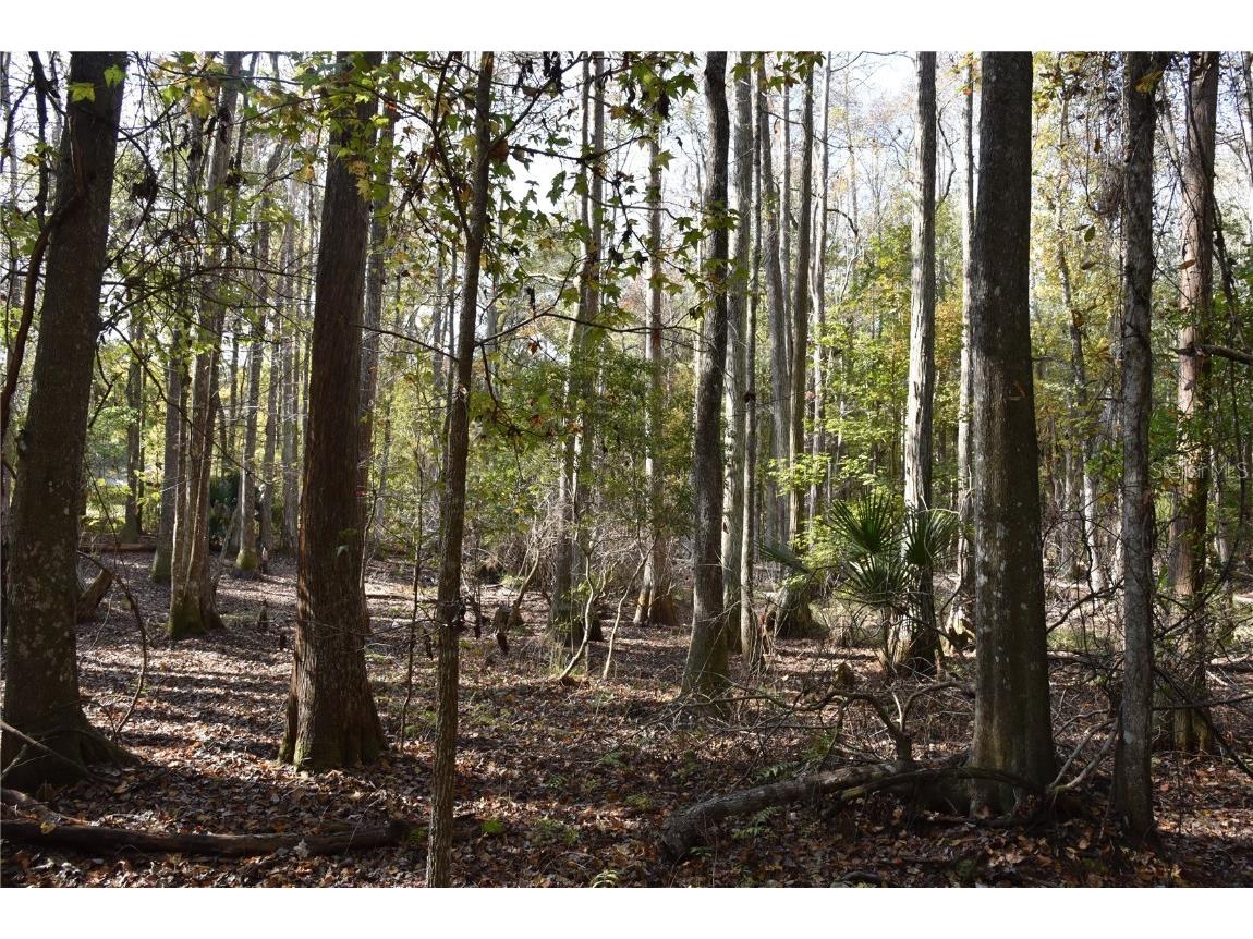 1220 SE Us Highway 301 Hawthorne FL 32640 OM714177 image13