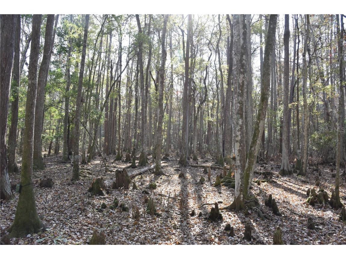 1220 SE Us Highway 301 Hawthorne FL 32640 OM714177 image15