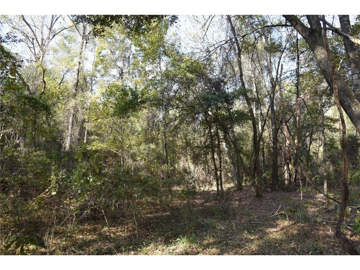 1220 SE Us Highway 301 Hawthorne FL 32640 OM714177 image17