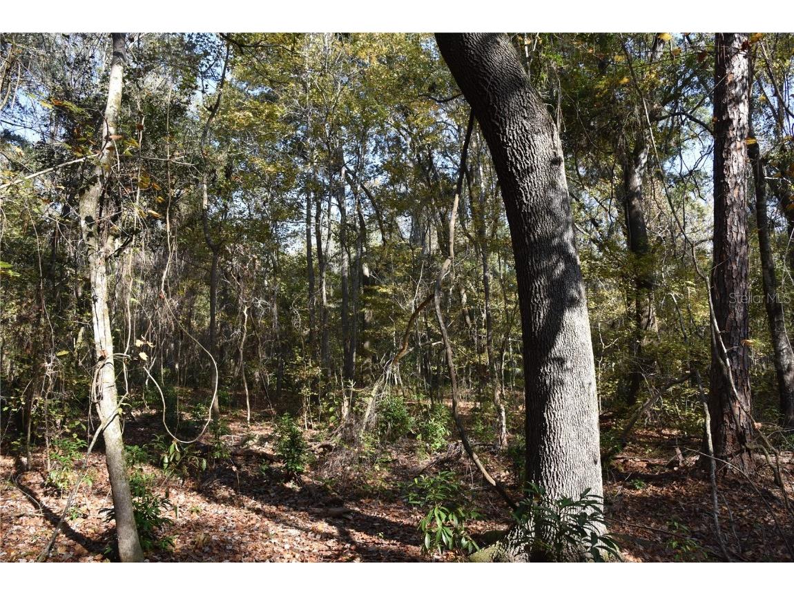 1220 SE Us Highway 301 Hawthorne FL 32640 OM714177 image18