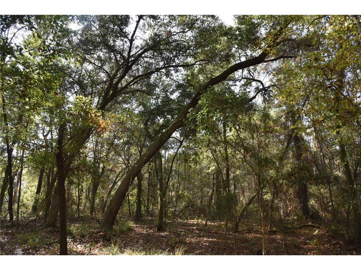 1220 SE Us Highway 301 Hawthorne FL 32640 OM714177 image2