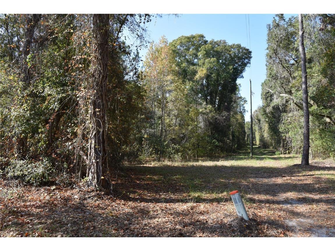 1220 SE Us Highway 301 Hawthorne FL 32640 OM714177 image21