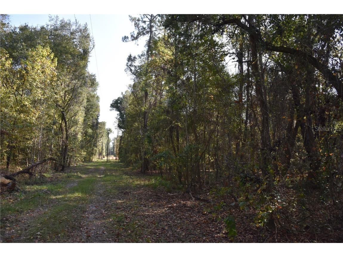 1220 SE Us Highway 301 Hawthorne FL 32640 OM714177 image22