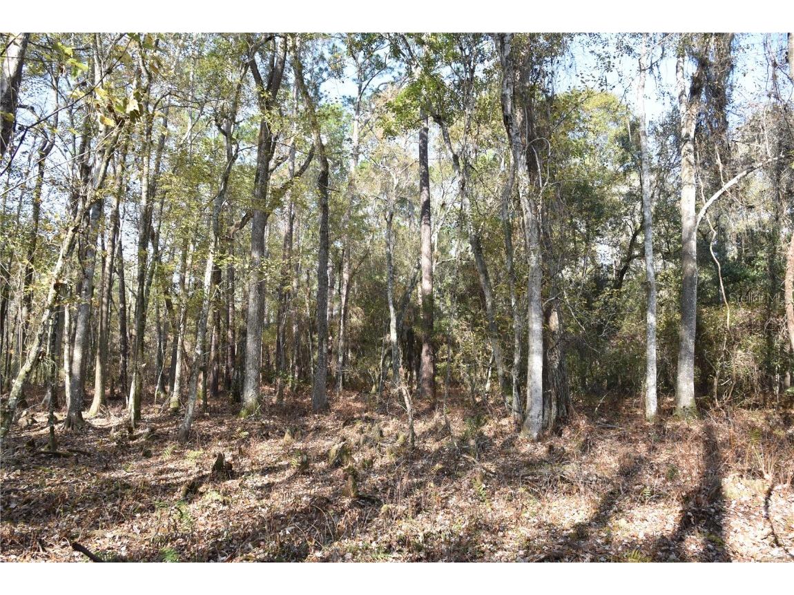 1220 SE Us Highway 301 Hawthorne FL 32640 OM714177 image25