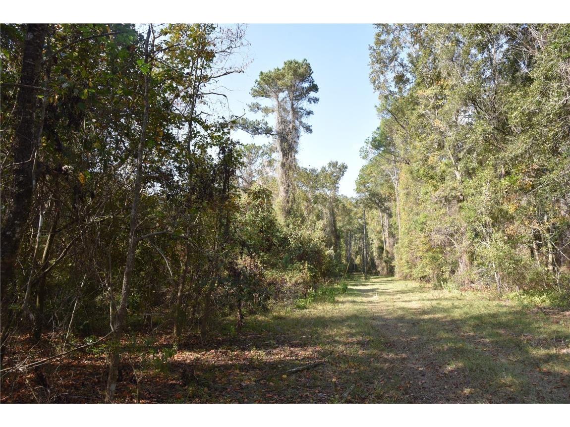 1220 SE Us Highway 301 Hawthorne FL 32640 OM714177 image28