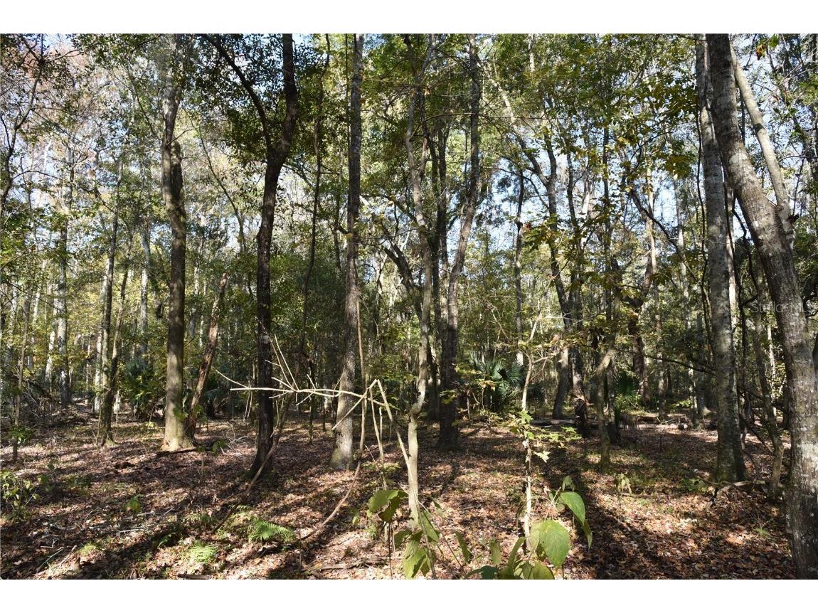 1220 SE Us Highway 301 Hawthorne FL 32640 OM714177 image29