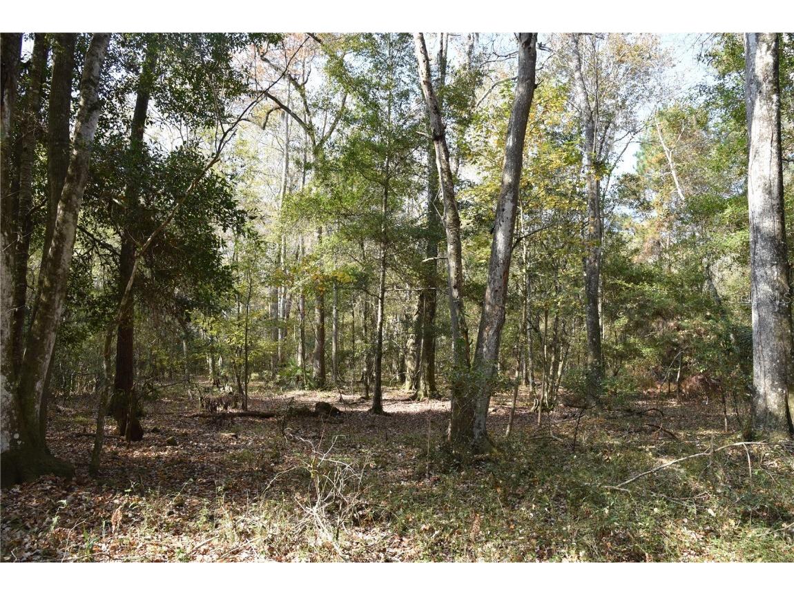 1220 SE Us Highway 301 Hawthorne FL 32640 OM714177 image30