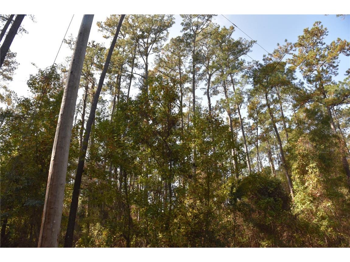 1220 SE Us Highway 301 Hawthorne FL 32640 OM714177 image32