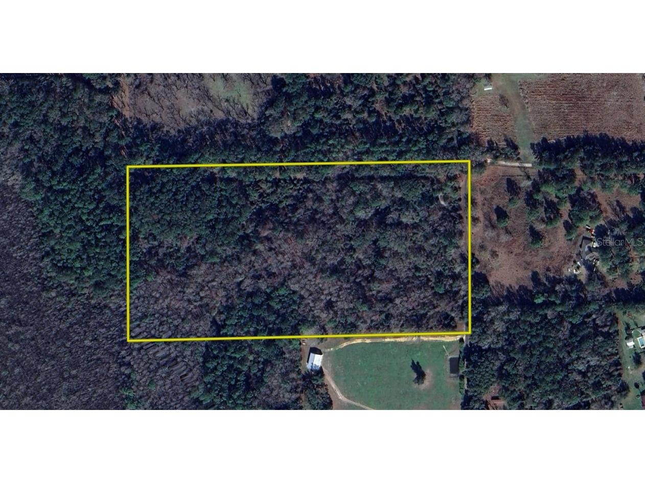 1220 SE Us Highway 301 Hawthorne FL 32640 OM714177 image4