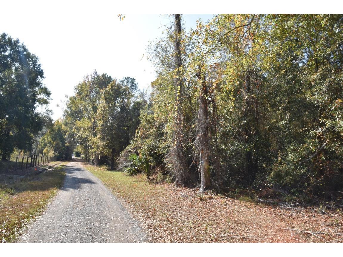 1220 SE Us Highway 301 Hawthorne FL 32640 OM714177 image5