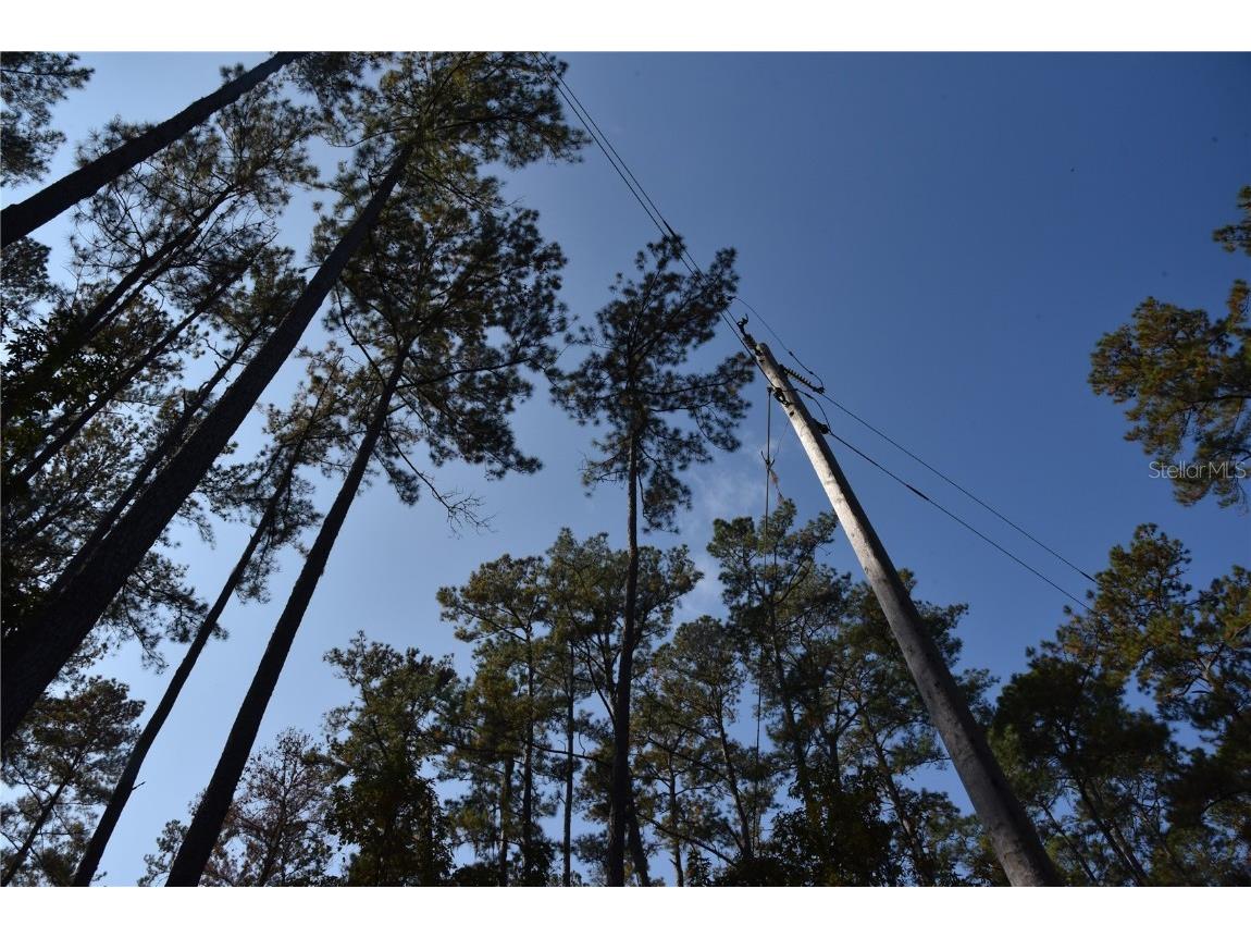 1220 SE Us Highway 301 Hawthorne FL 32640 OM714177 image6