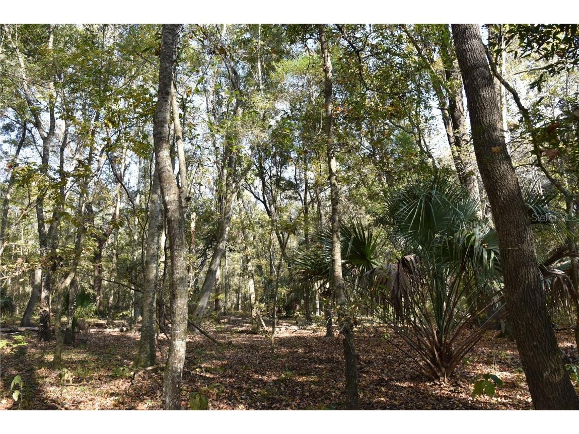 1220 SE Us Highway 301 Hawthorne FL 32640 OM714177 image7