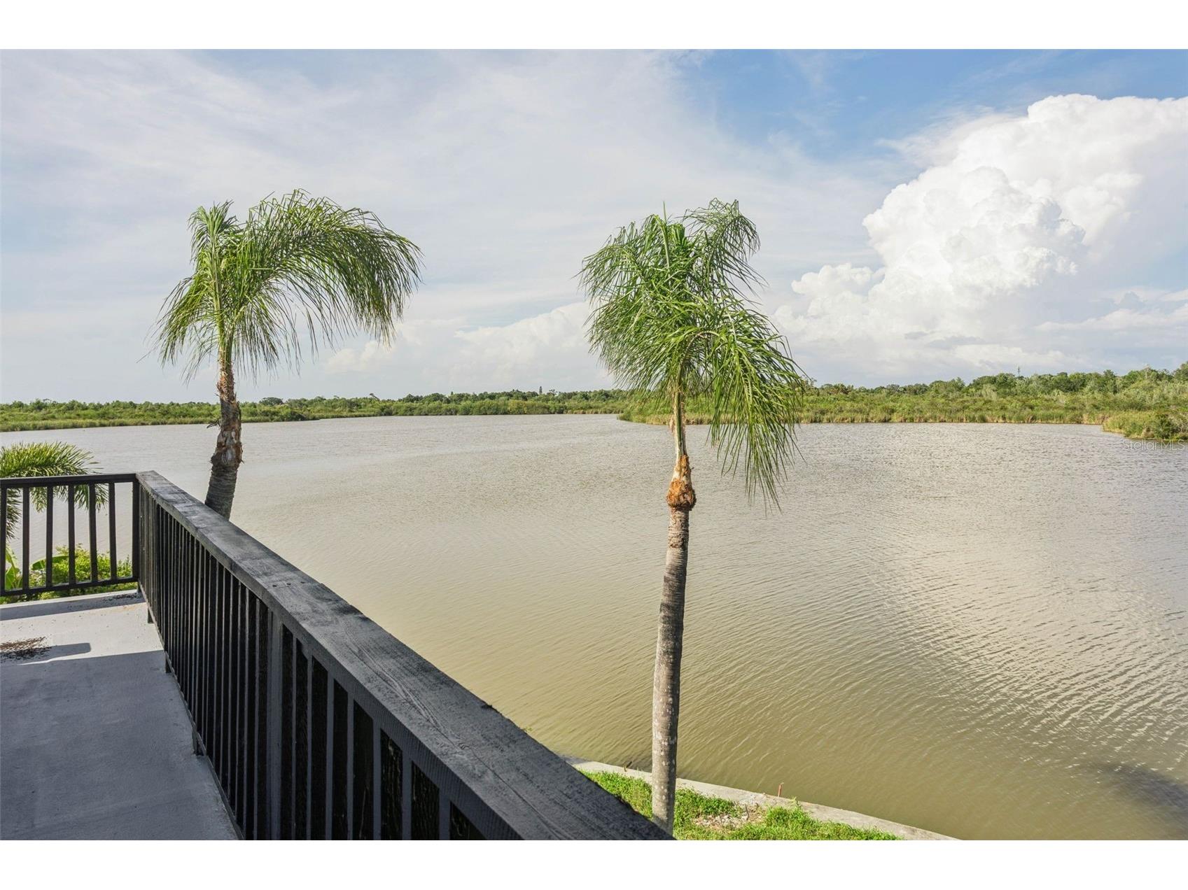 1220 Stover Court Holiday FL 34691 W7885797 image21