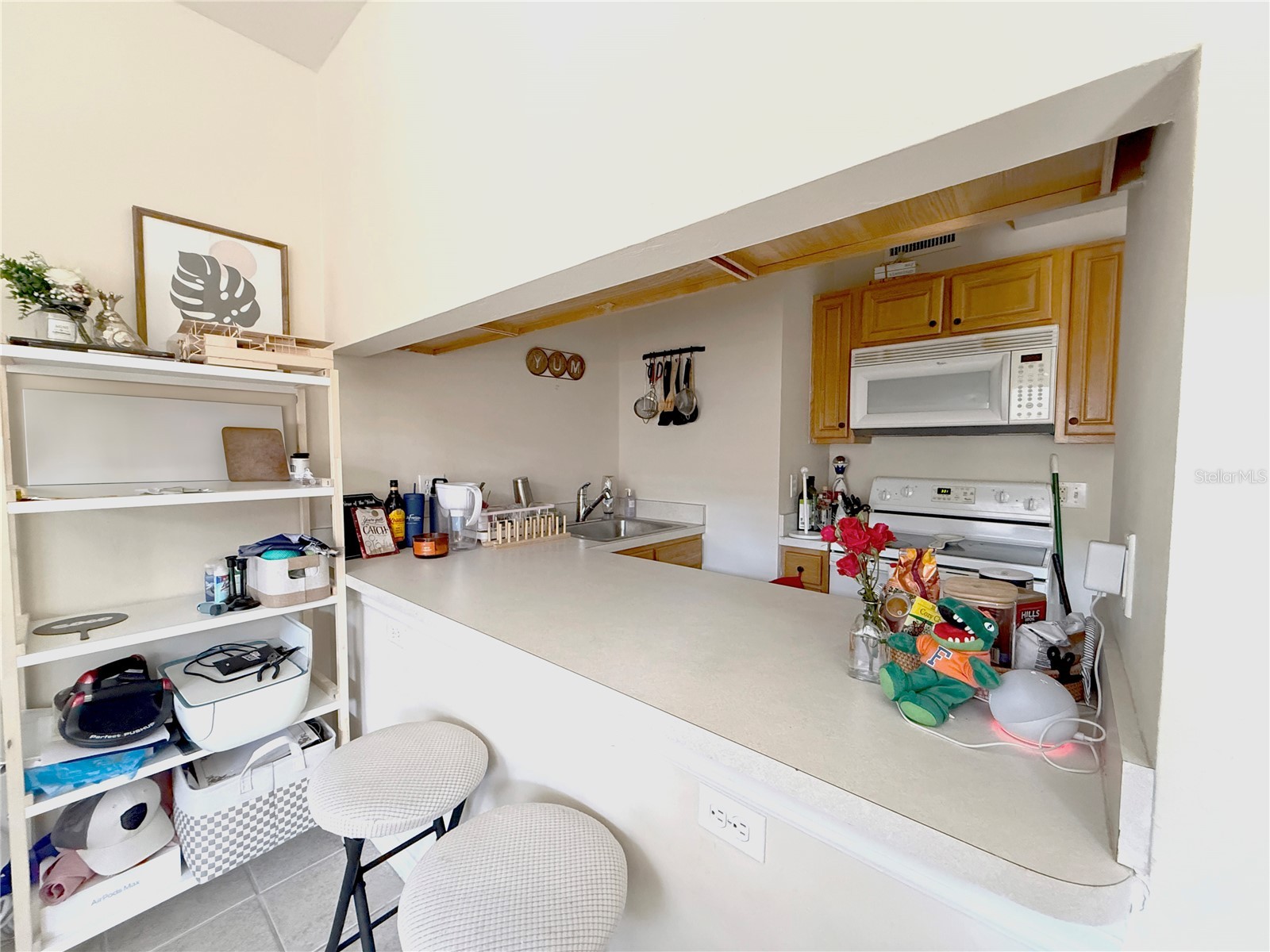 1220 SW 1st Avenue #303 Gainesville FL 32601 OM719641 image4