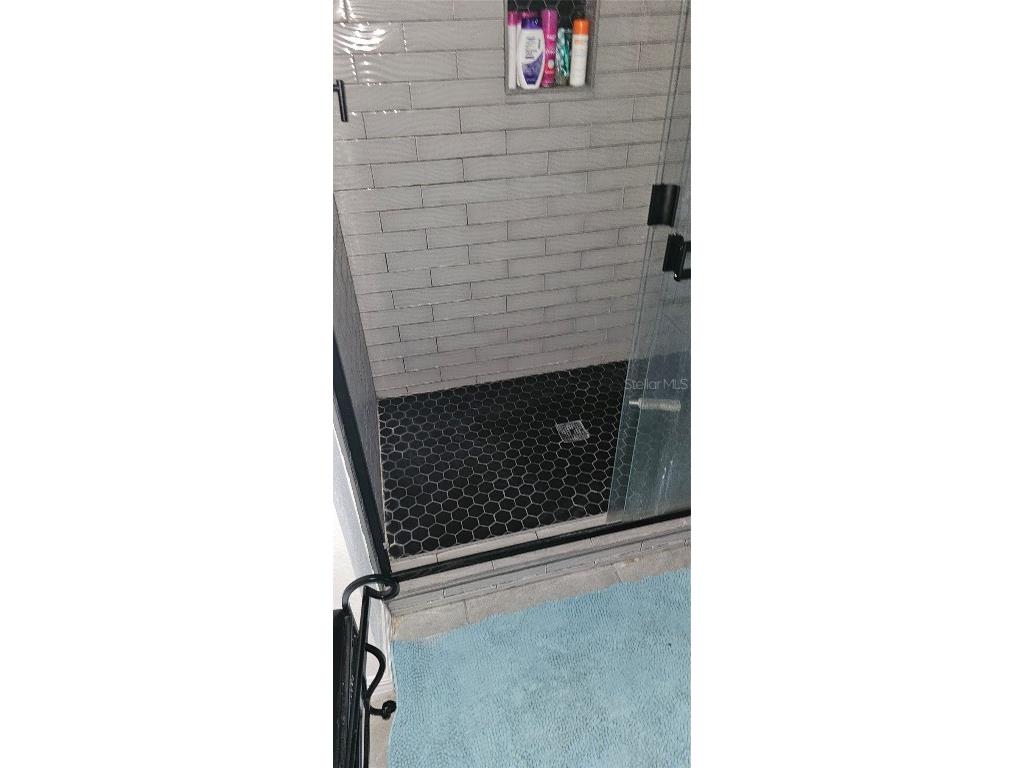 1220 Tahitian Sunrise Drive Plant City FL 33565 TB8452296 image28