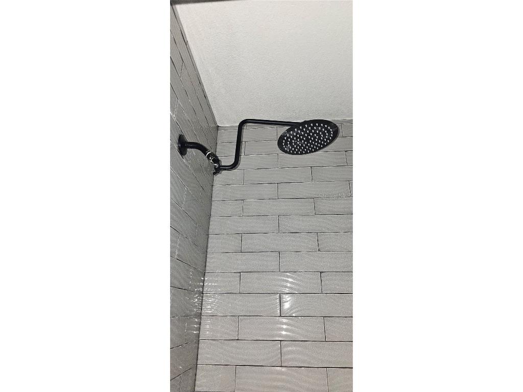 1220 Tahitian Sunrise Drive Plant City FL 33565 TB8452296 image29