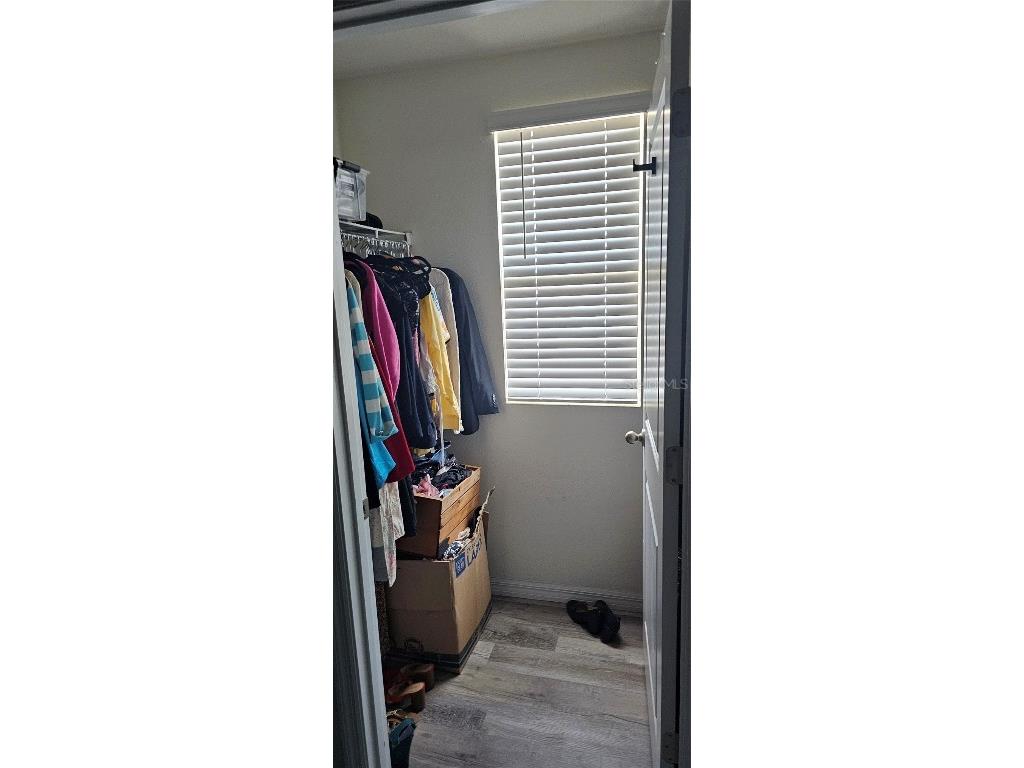 1220 Tahitian Sunrise Drive Plant City FL 33565 TB8452296 image31