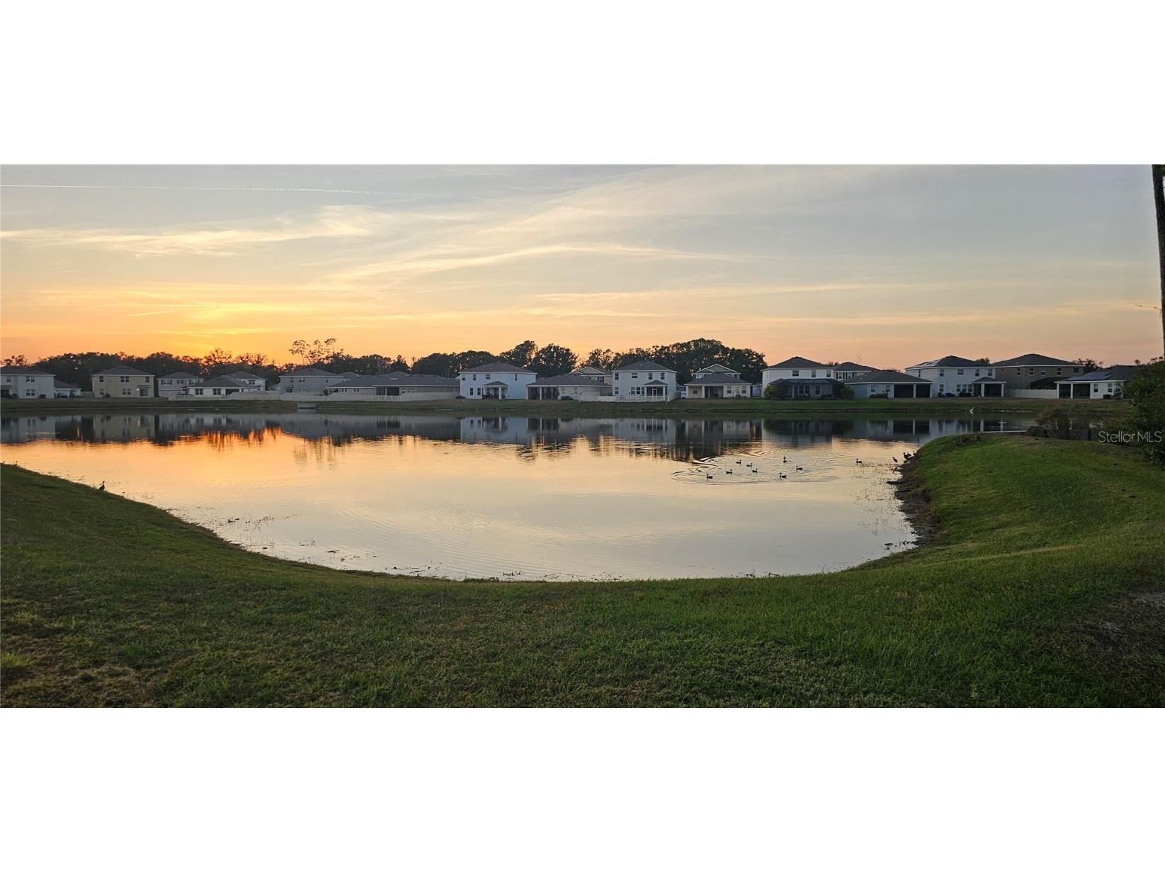 1220 Tahitian Sunrise Drive Plant City FL 33565 TB8452296 image4