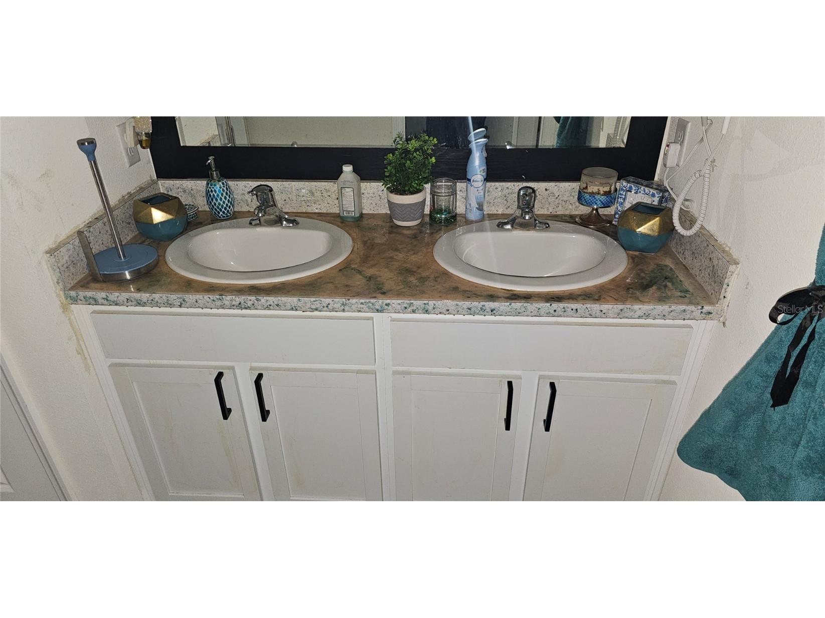 1220 Tahitian Sunrise Drive Plant City FL 33565 TB8452296 image44