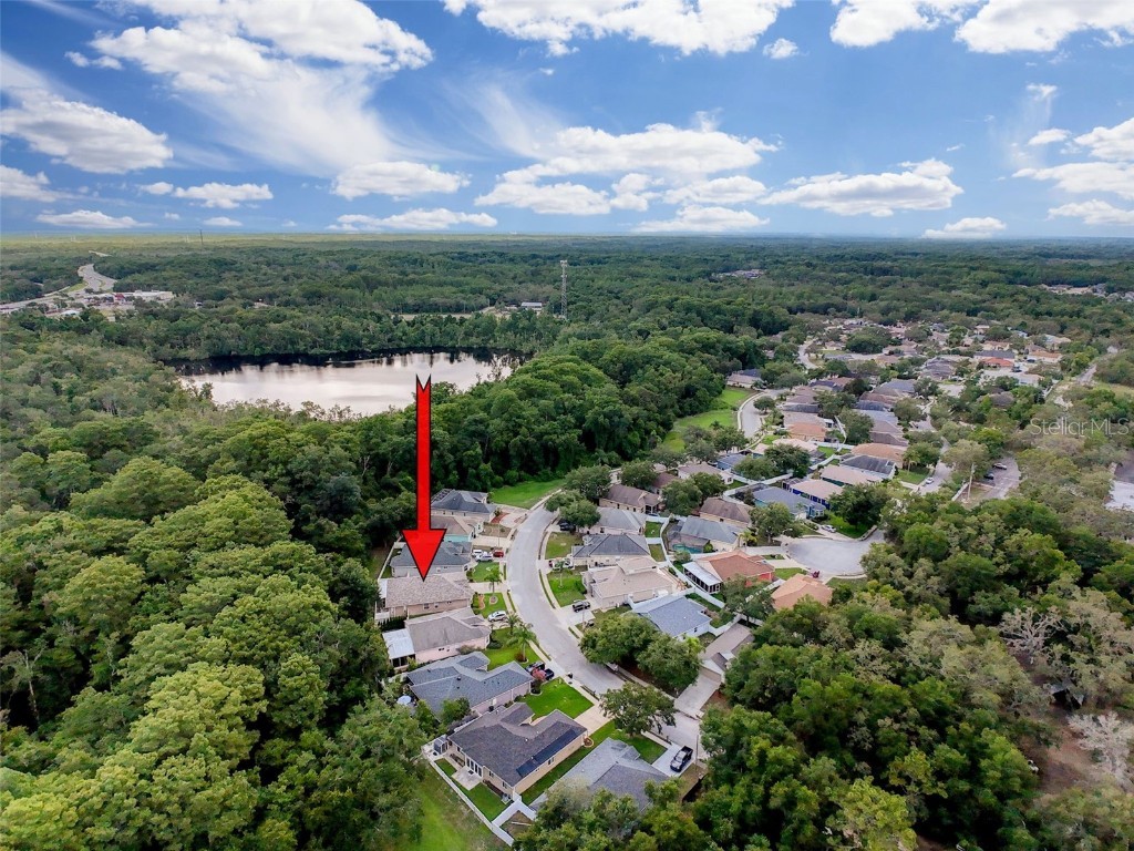 12200 Hunters Lake Drive New Port Richey FL 34654 TB8400571 image6