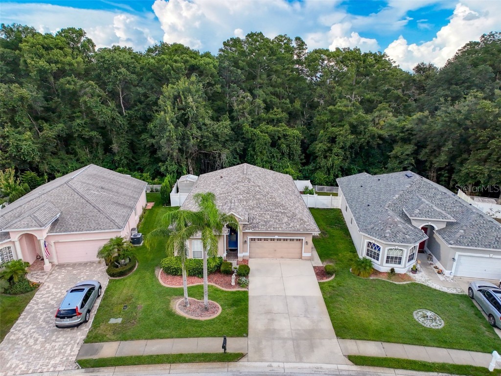 12200 Hunters Lake Drive New Port Richey FL 34654 TB8400571 image78