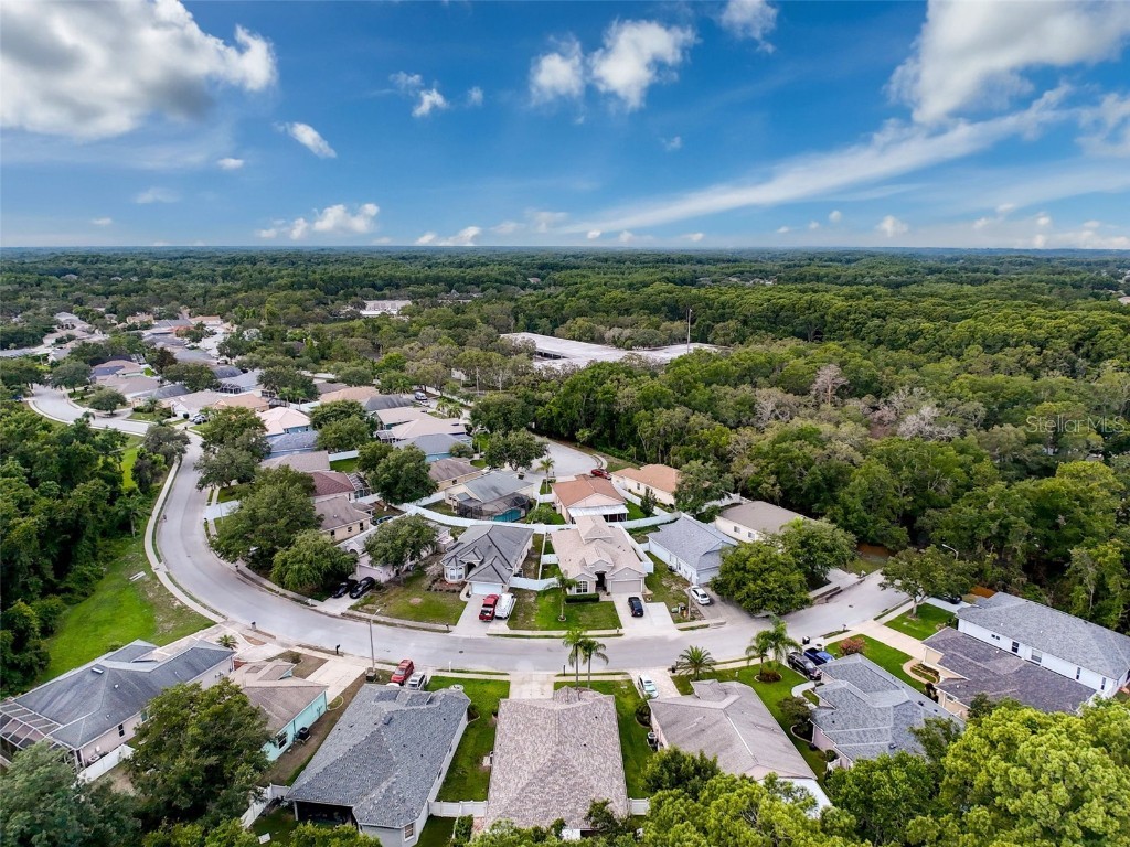 12200 Hunters Lake Drive New Port Richey FL 34654 TB8400571 image87