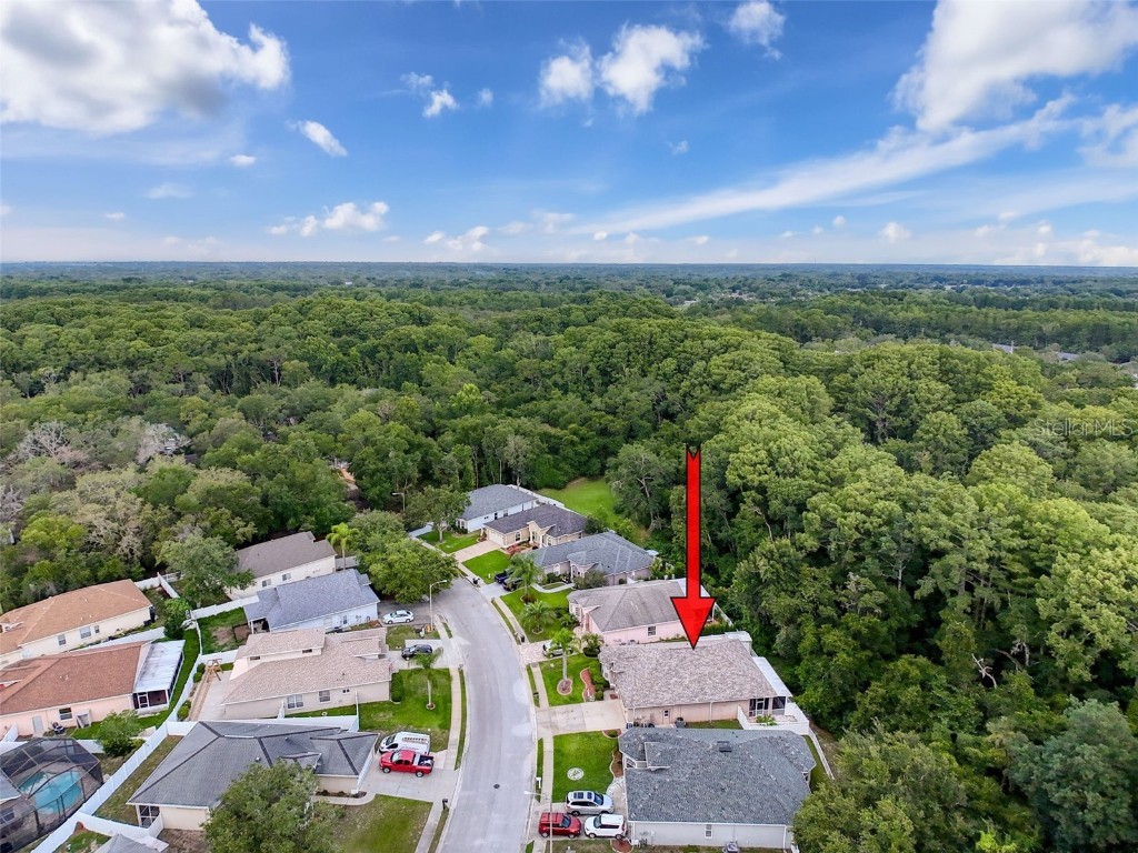 12200 Hunters Lake Drive New Port Richey FL 34654 TB8400571 image88