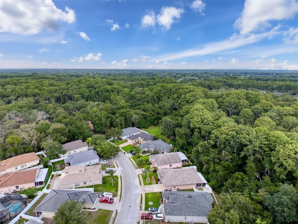 12200 Hunters Lake Drive New Port Richey FL 34654 TB8400571 image89