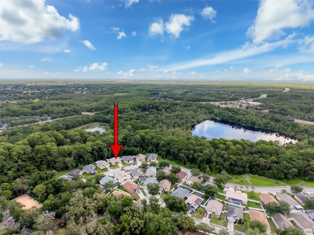 12200 Hunters Lake Drive New Port Richey FL 34654 TB8400571 image90