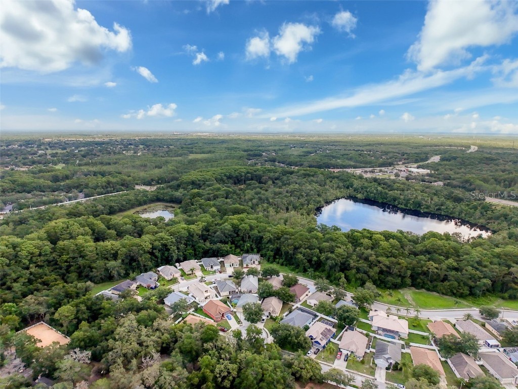 12200 Hunters Lake Drive New Port Richey FL 34654 TB8400571 image91